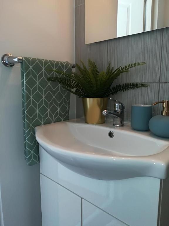 Guesthouse Smart Boekarest Buitenkant foto